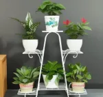 Plant Holder