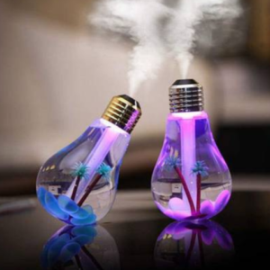 Bulb Humidifier